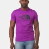 The North Face Berkley California T-shirt -Icebreaker Tshirts Winkel 2210003910666 010 nl