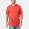 Sherpa Summit Tee -Icebreaker Tshirts Winkel 2210004097977 010 nl