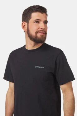 Patagonia Fitz Roy Icon Responsibili-Tee -Icebreaker Tshirts Winkel 2210004224410 012 nl